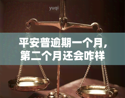 平安普逾期一个月,第二个月还会咋样，平安普逾期一个月，第二个月会发生什么？