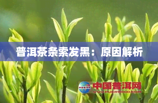 普洱茶条索发黑：原因解析