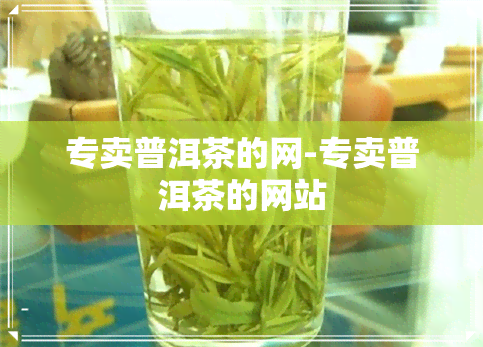 专卖普洱茶的网-专卖普洱茶的网站