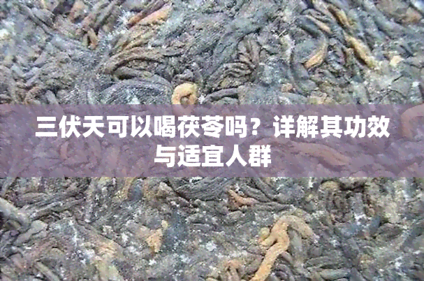 三伏天可以喝茯苓吗？详解其功效与适宜人群