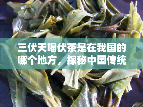 三伏天喝伏茶是在我国的哪个地方，探秘中国传统文化：三伏天喝伏茶的起源和流行地区