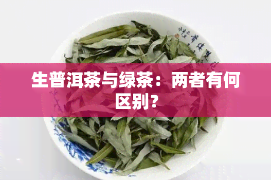 生普洱茶与绿茶：两者有何区别？