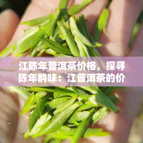 江陈年普洱茶价格，探寻陈年韵味：江普洱茶的价格解析