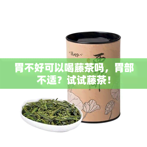 胃不好可以喝藤茶吗，胃部不适？试试藤茶！