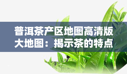 普洱茶产区地图高清版大地图：揭示茶的特点及产区分布