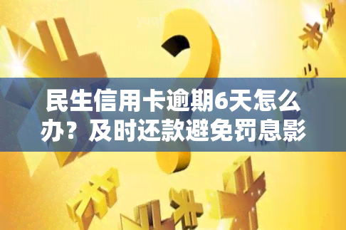 民生信用卡逾期6天怎么办？及时还款避免罚息影响信用记录。