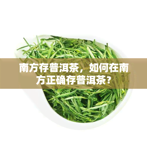 南方存普洱茶，如何在南方正确存普洱茶？