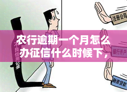 农行逾期一个月怎么办什么时候下，如何处理农行信用卡逾期一个月及问题