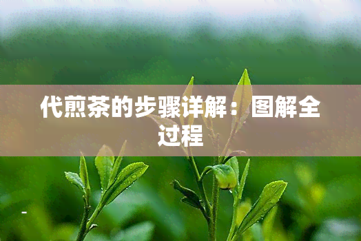 代煎茶的步骤详解：图解全过程