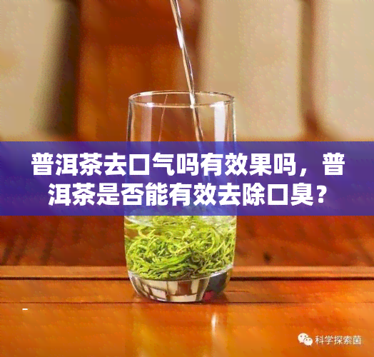 普洱茶去口气吗有效果吗，普洱茶是否能有效去除口臭？