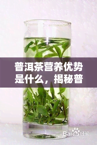 普洱茶营养优势是什么，揭秘普洱茶的营养优势，你不可不知！