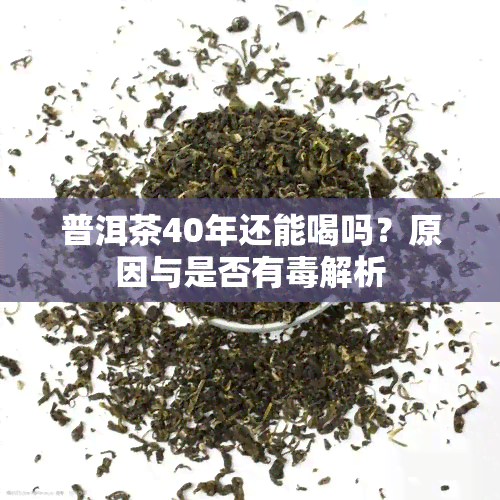 普洱茶40年还能喝吗？原因与是否有解析