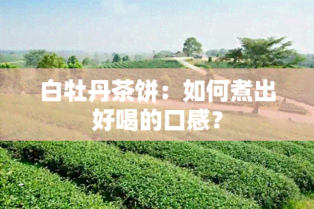 白牡丹茶饼：如何煮出好喝的口感？