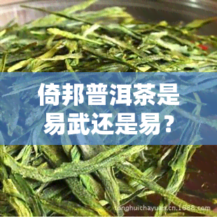 倚邦普洱茶是易武还是易？产地介绍及品鉴分析