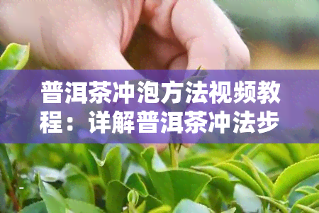 普洱茶冲泡方法视频教程：详解普洱茶冲法步骤