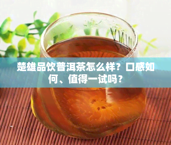 楚雄品饮普洱茶怎么样？口感如何、值得一试吗？