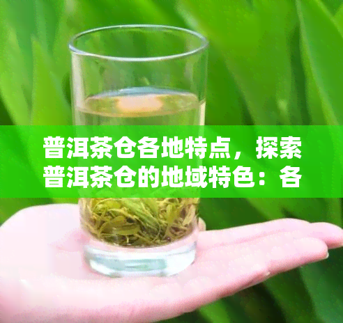 普洱茶仓各地特点，探索普洱茶仓的地域特色：各地仓的特点与影响