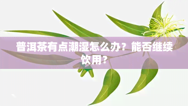 普洱茶有点潮湿怎么办？能否继续饮用？