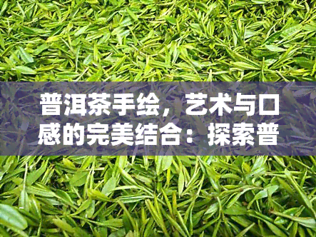 普洱茶手绘，艺术与口感的完美结合：探索普洱茶手绘画的魅力