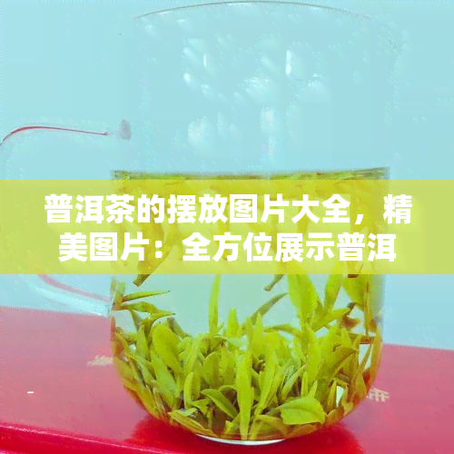 普洱茶的摆放图片大全，精美图片：全方位展示普洱茶的摆放艺术