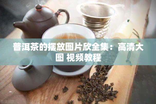 普洱茶的摆放图片欣全集：高清大图 视频教程