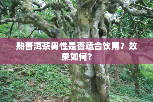 熟普洱茶男性是否适合饮用？效果如何？