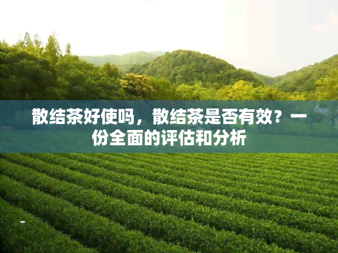 散结茶好使吗，散结茶是否有效？一份全面的评估和分析