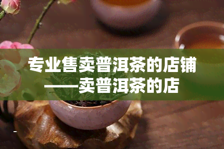 专业售卖普洱茶的店铺——卖普洱茶的店