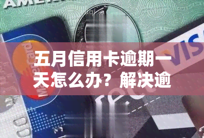 五月信用卡逾期一天怎么办？解决逾期问题的有效方法