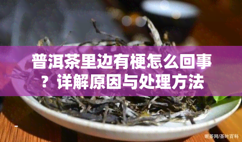 普洱茶里边有梗怎么回事？详解原因与处理方法