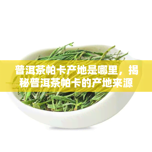 普洱茶帕卡产地是哪里，揭秘普洱茶帕卡的产地来源