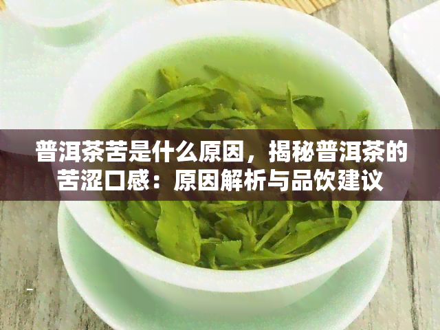 普洱茶苦是什么原因，揭秘普洱茶的苦涩口感：原因解析与品饮建议