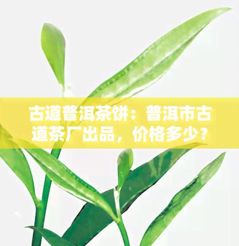 古道普洱茶饼：普洱市古道茶厂出品，价格多少？