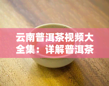 云南普洱茶视频大全集：详解普洱茶制作过程与品鉴技巧