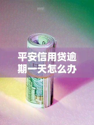 平安信用贷逾期一天怎么办？解决方案全解析