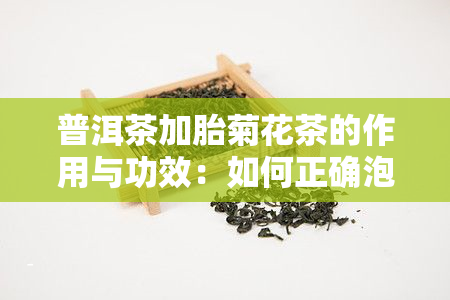 普洱茶加胎菊花茶的作用与功效：如何正确泡饮？