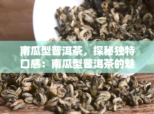 南瓜型普洱茶，探秘独特口感：南瓜型普洱茶的魅力所在