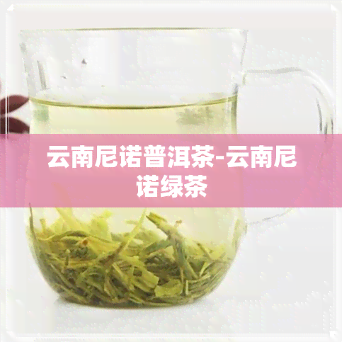 云南尼诺普洱茶-云南尼诺绿茶