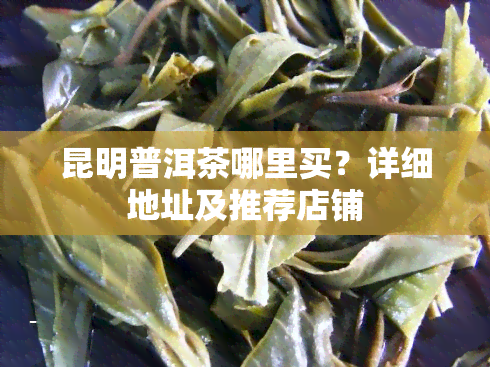 昆明普洱茶哪里买？详细地址及推荐店铺