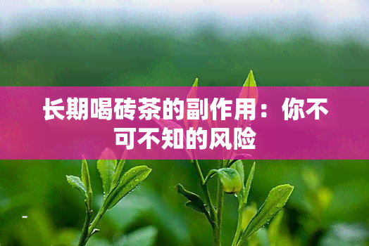 长期喝砖茶的副作用：你不可不知的风险