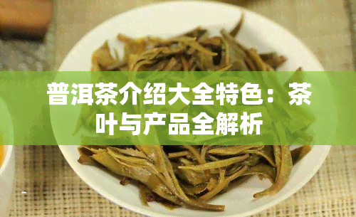 普洱茶介绍大全特色：茶叶与产品全解析