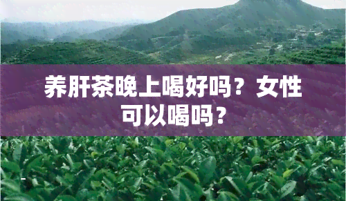 养肝茶晚上喝好吗？女性可以喝吗？