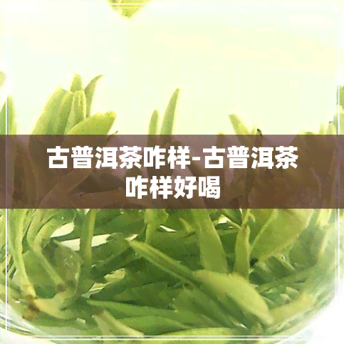 古普洱茶咋样-古普洱茶咋样好喝