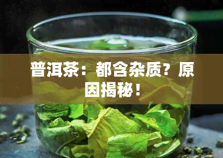 普洱茶：都含杂质？原因揭秘！