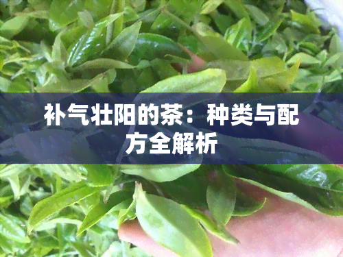 补气壮阳的茶：种类与配方全解析