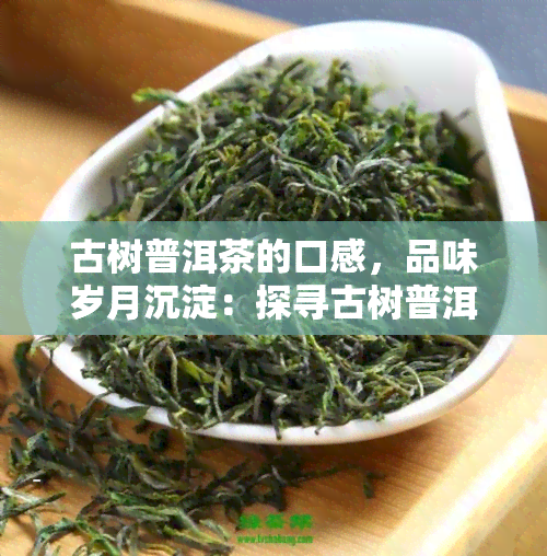 古树普洱茶的口感，品味岁月沉淀：探寻古树普洱茶的独特口感