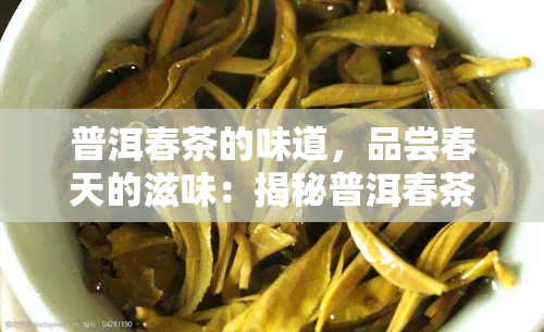 普洱春茶的味道，品尝春天的滋味：揭秘普洱春茶的独特口感