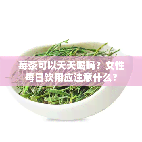 莓茶可以天天喝吗？女性每日饮用应注意什么？