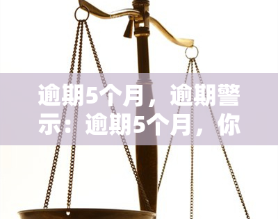 逾期5个月，逾期警示：逾期5个月，你可能需要采取行动了！