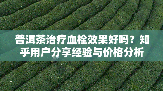 普洱茶治疗血栓效果好吗？知乎用户分享经验与价格分析